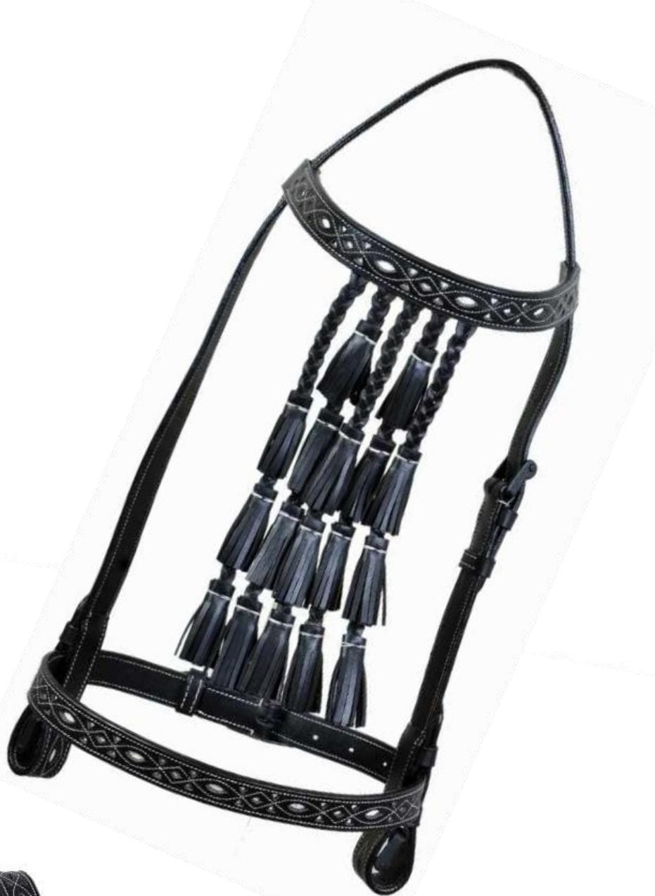 Spanish Bridle