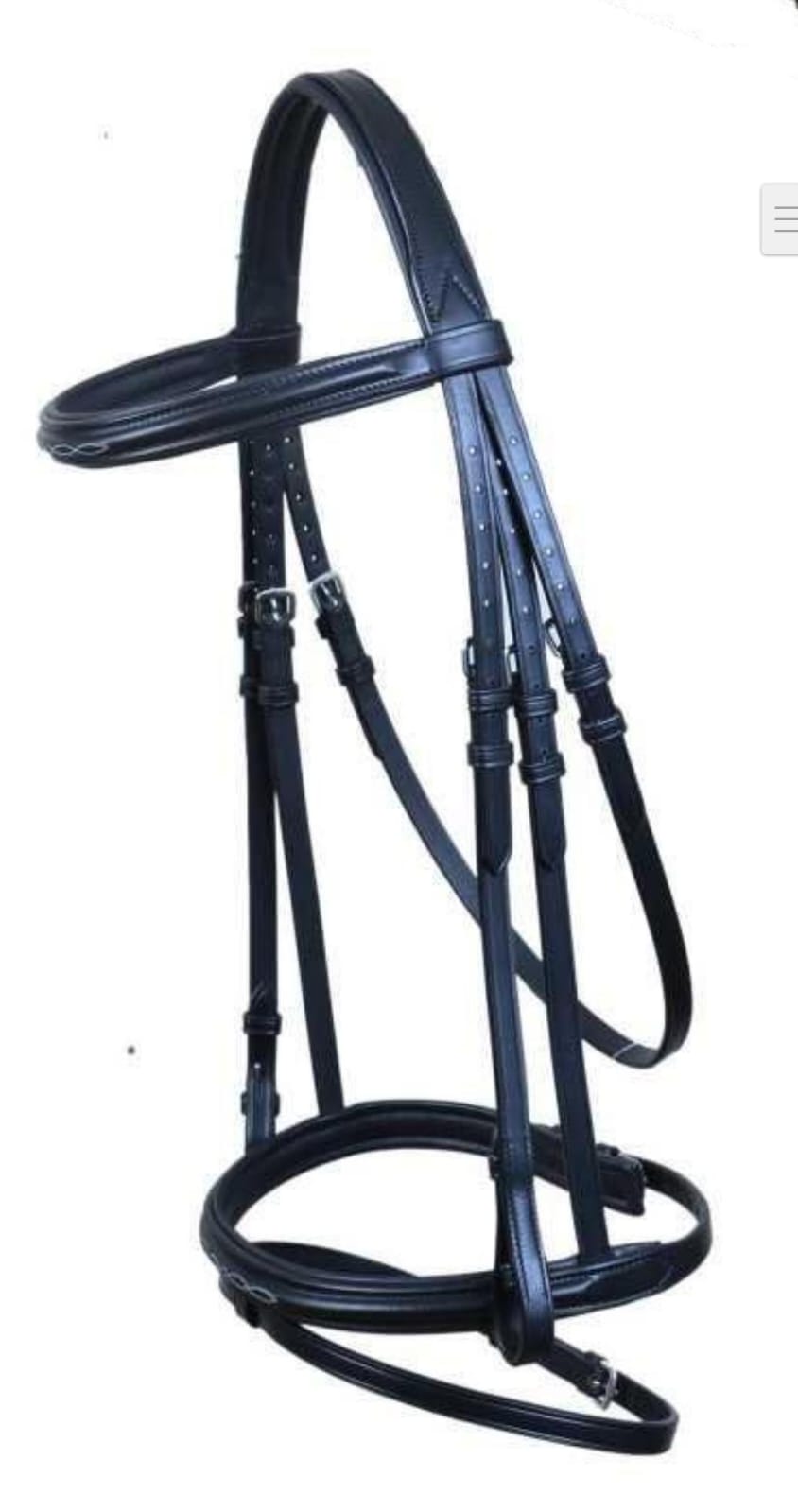Leather Bridle