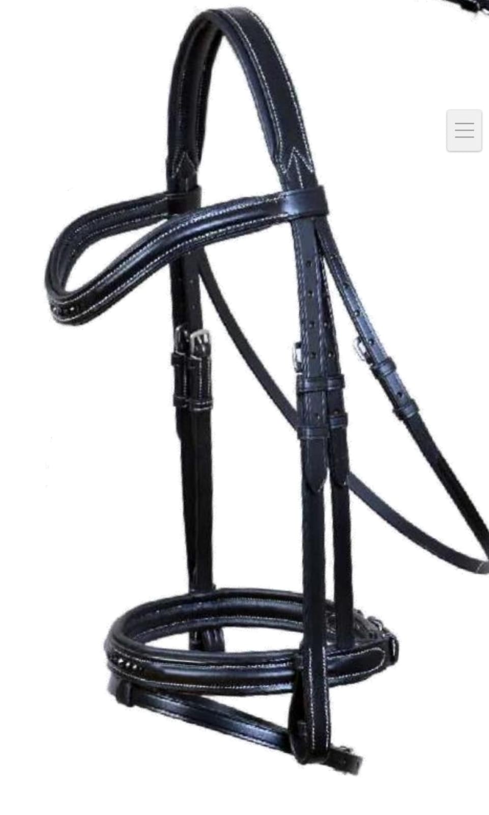 Leather Bridle