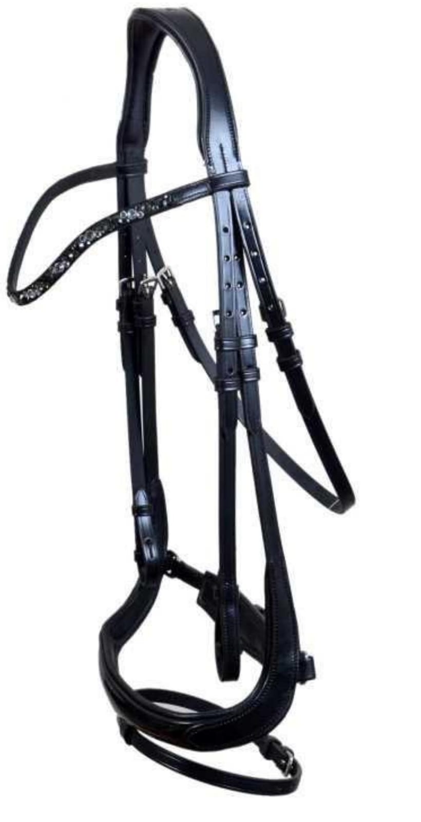 Leather Bridle