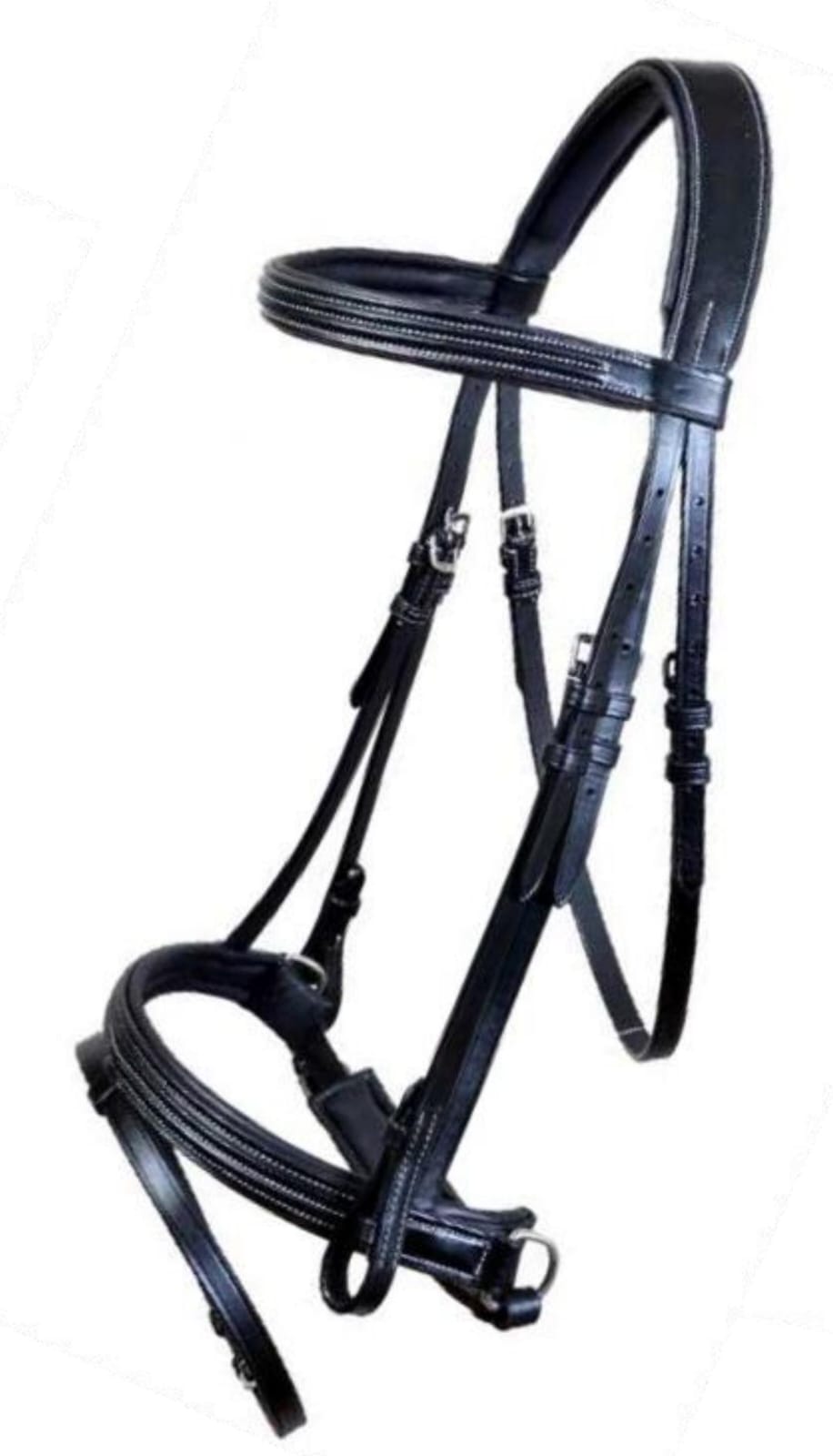 Leather Bridle