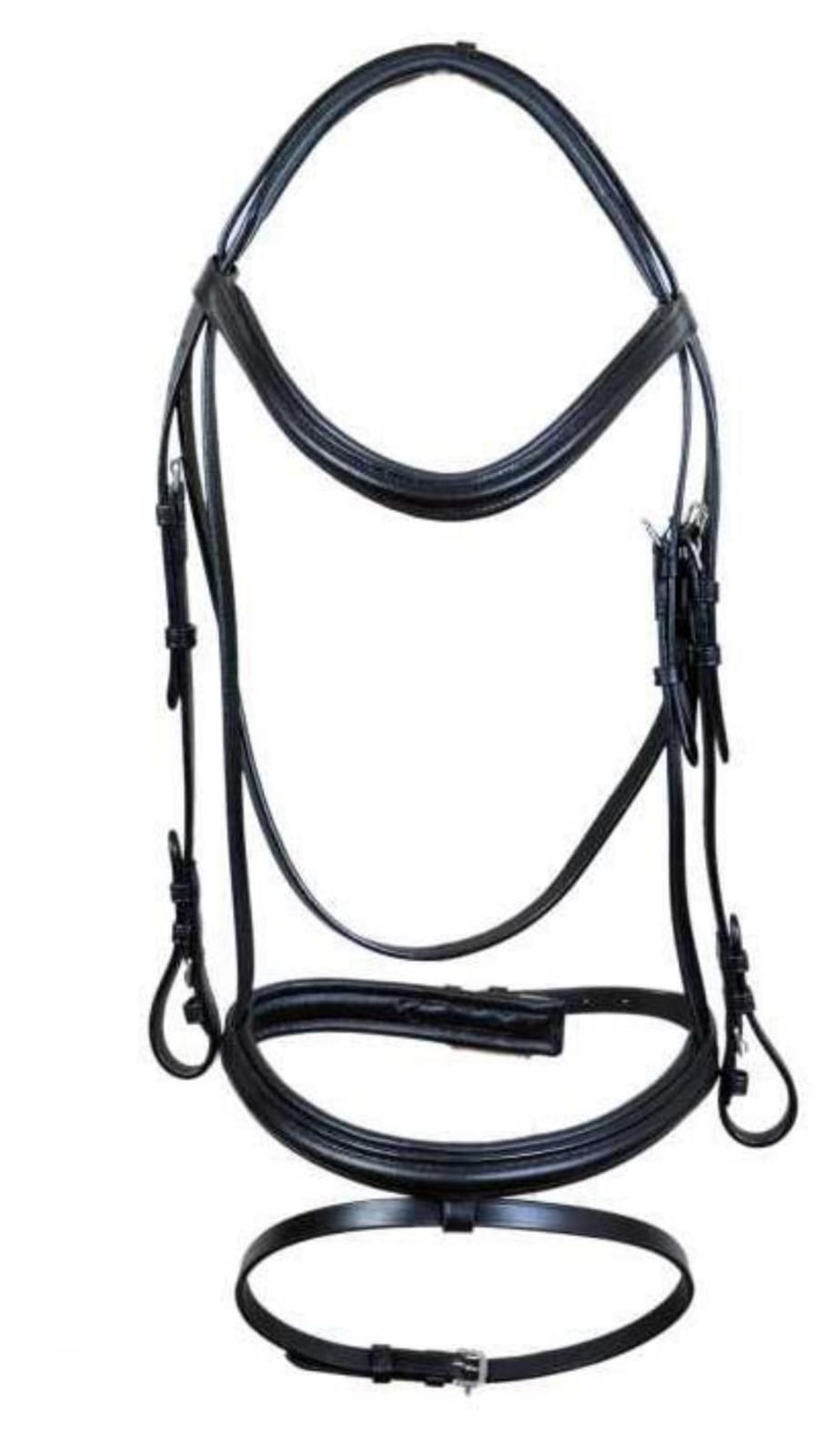 Leather Bridle