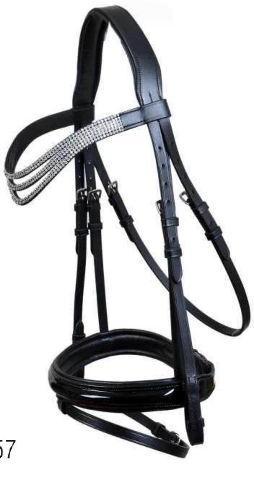 Leather Bridle