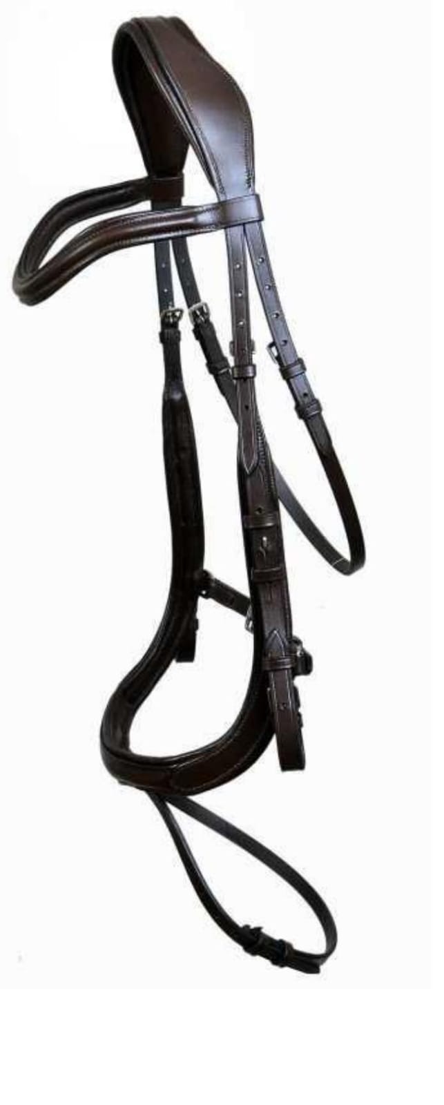 Leather Bridle