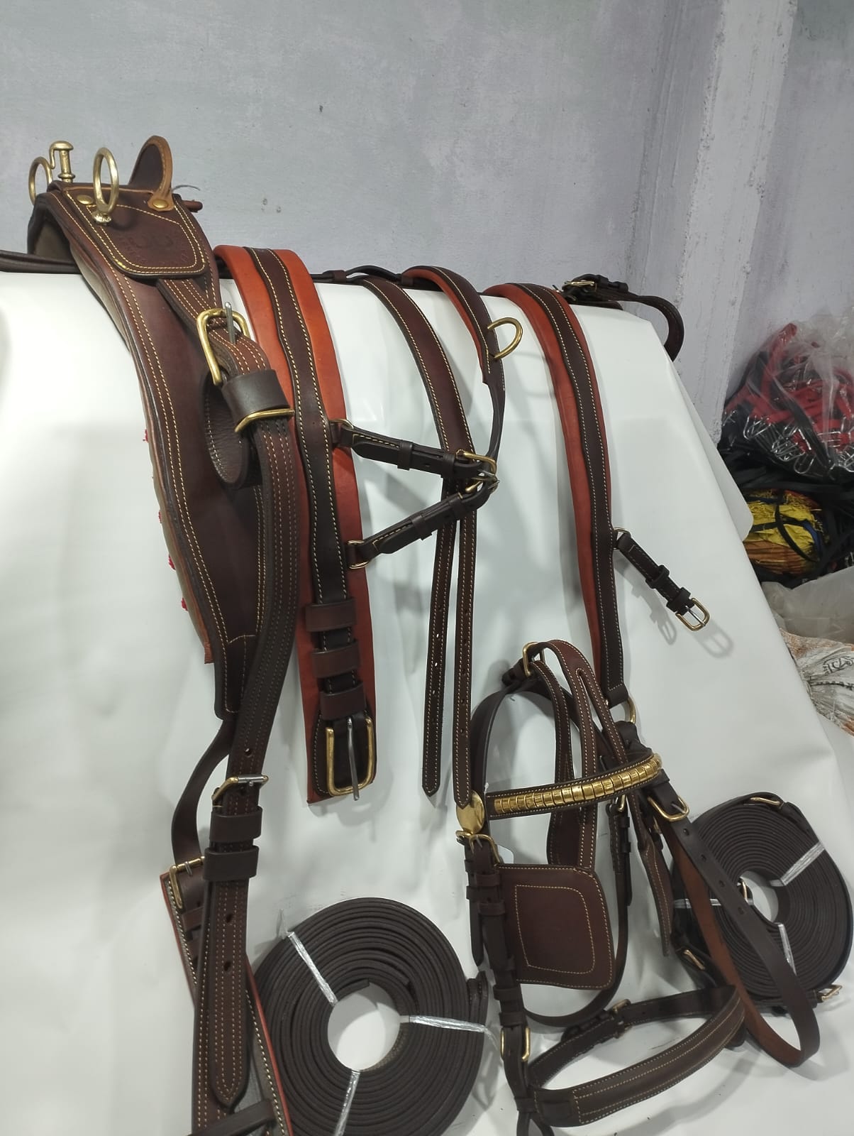 Carriage Driving Harness Set