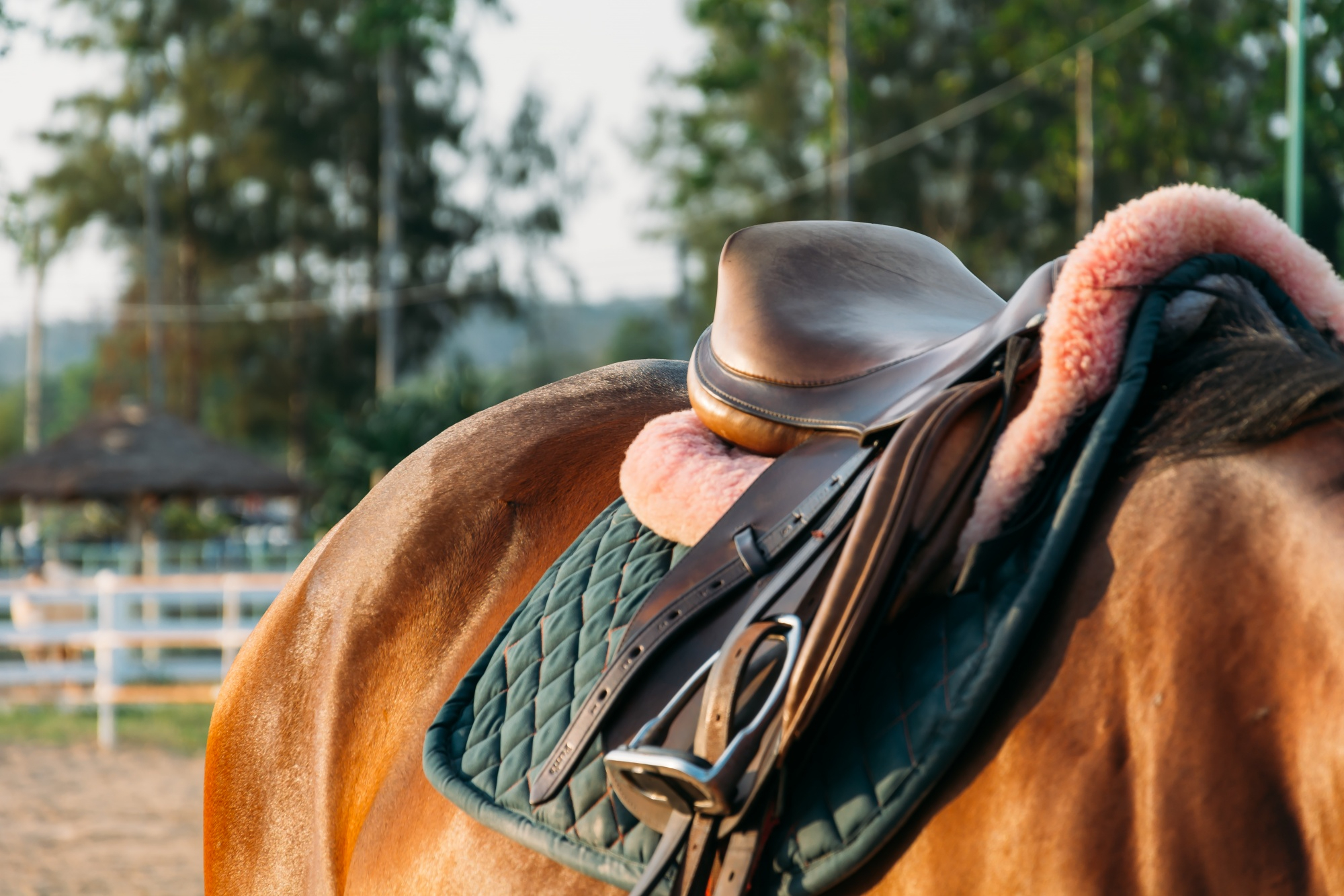 Premium Equestrian Leather Craftsmanship