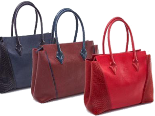 Corporate Laptop Bag