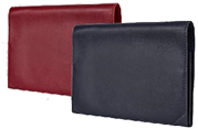 CIUS BRIEFCASE